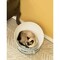 Pawsmark Plastic Bowl Shaped Sleeping Bed House Cat Cave Lounge with Ball Toy QI003726 - alternate 7